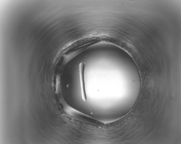 X0000054440920200508051855