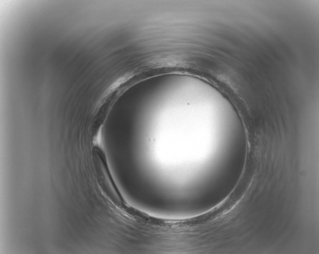 X0000054440922200508051855