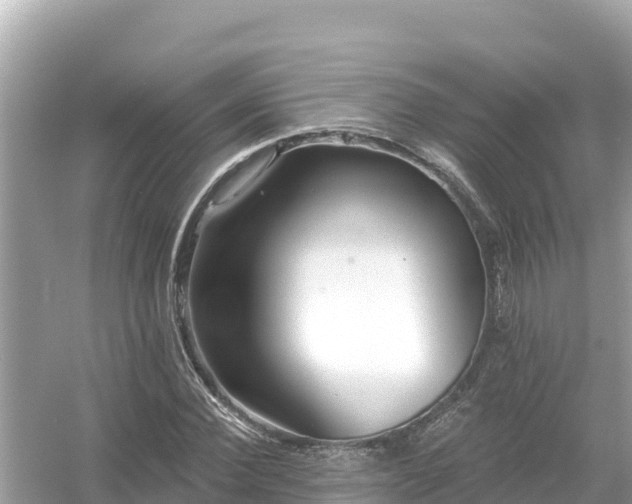 X0000054440924200508051855