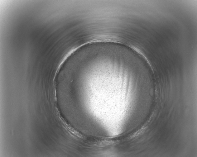 X0000054440925200508051855