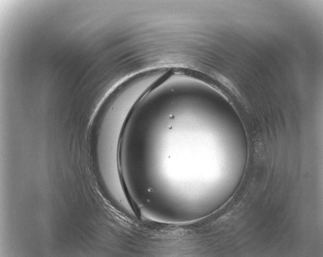 X0000054440926200508051855