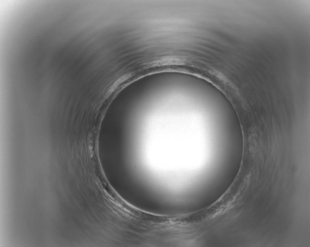 X0000054440929200508051855