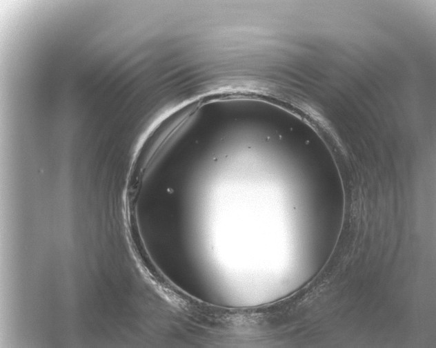 X0000054440936200508051855