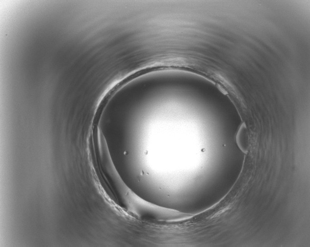 X0000054440944200508051855