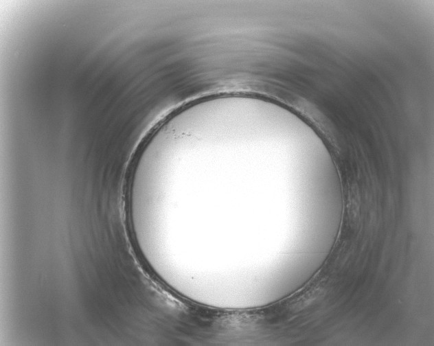 X0000054440950200508051855