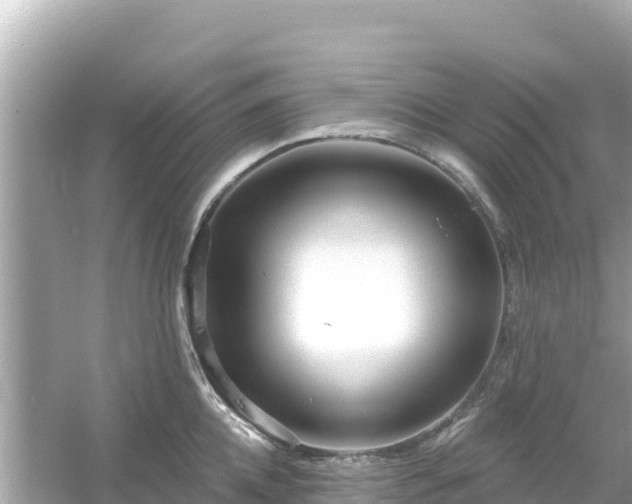 X0000054440952200508051855