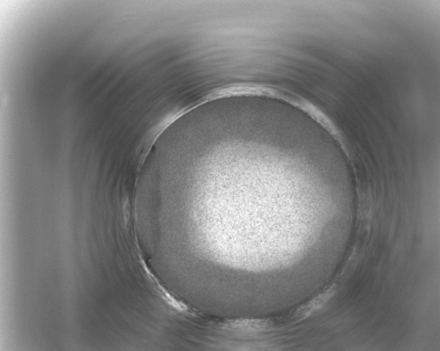 X0000054440953200508051855