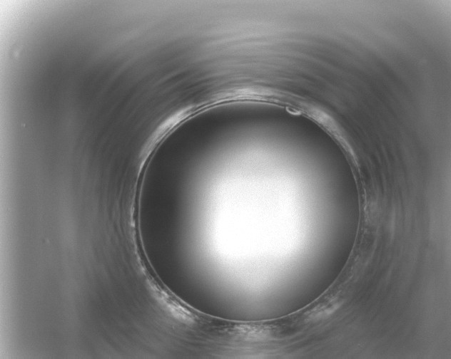 X0000054440954200508051855