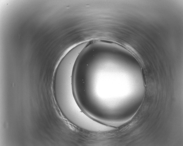 X0000054440956200508051855