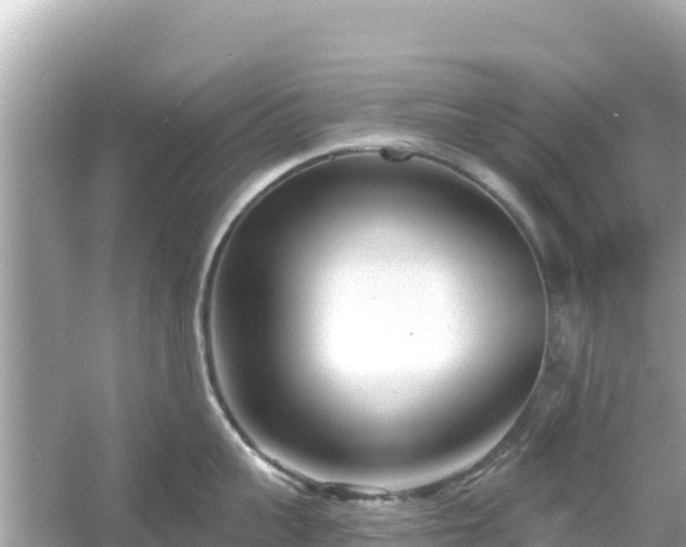 X0000054440959200508051855