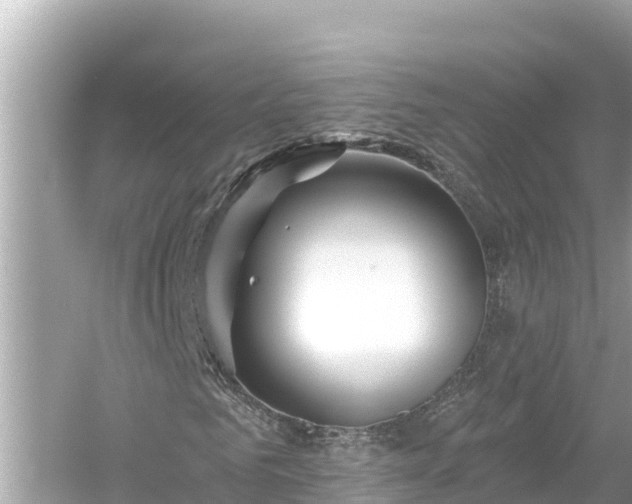 X0000054440961200508051854