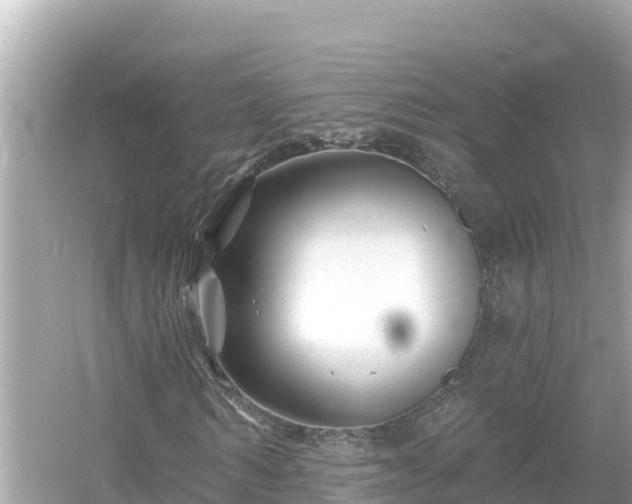 X0000054440962200508051854