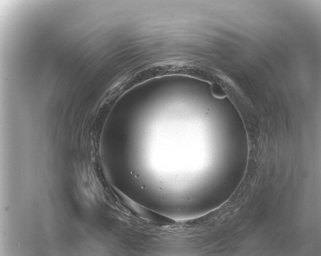 X0000054440967200508051854