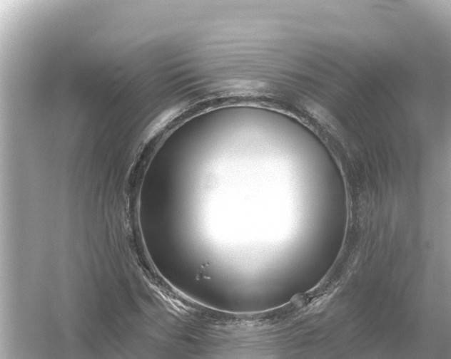 X0000054440970200508051854