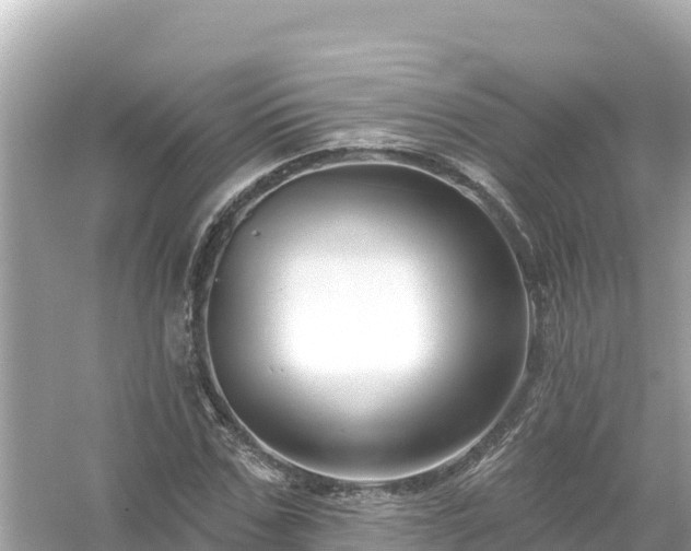 X0000054440971200508051854