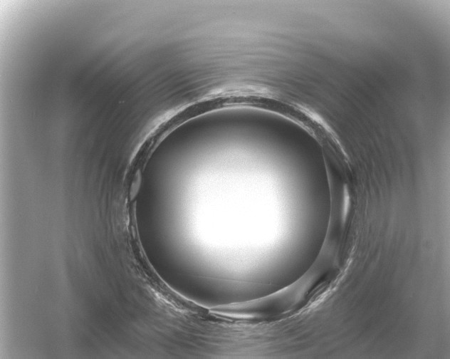 X0000054440973200508051854