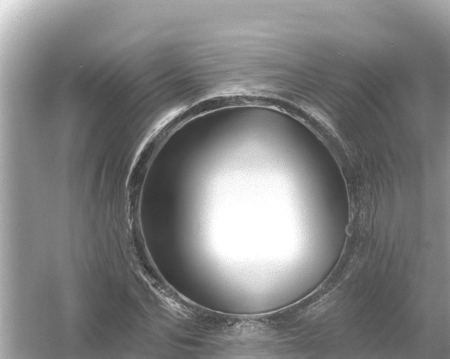 X0000054440974200508051854