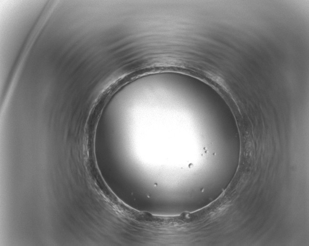 X0000054440979200508051854