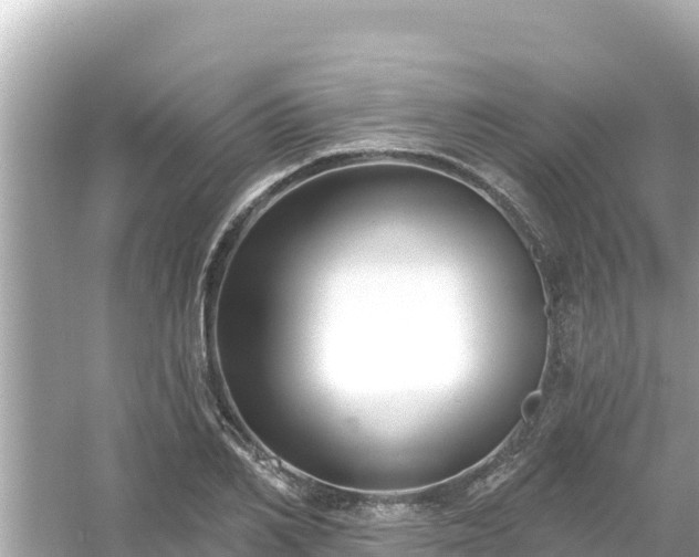 X0000054440982200508051854