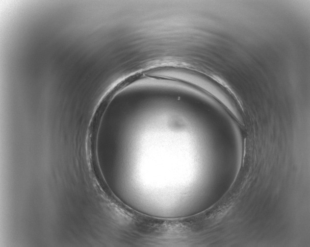 X0000054440983200508051854