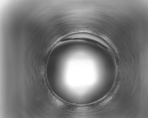 X0000054440985200508051854