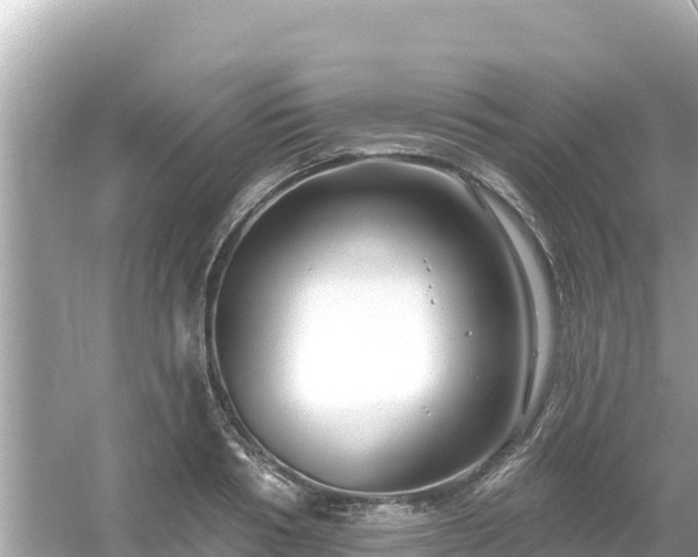 X0000054440986200508051854