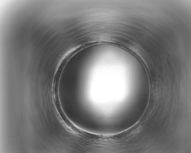 X0000054440987200508051854