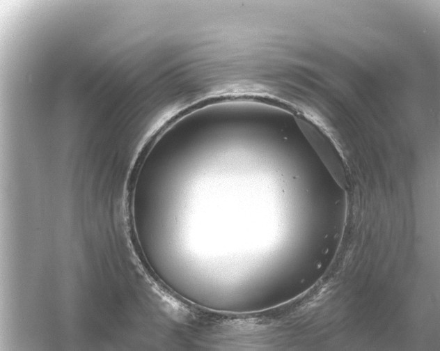 X0000054440990200508051854