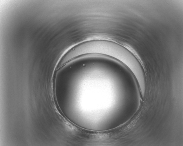 X0000054440996200508051854