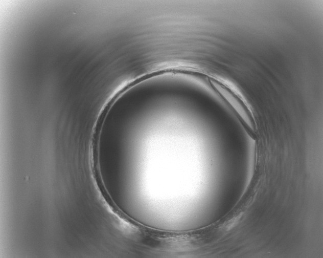 X0000054440999200508051854