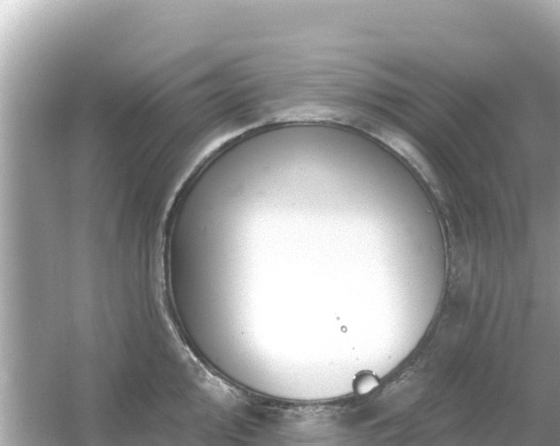 X0000054441000200508051854