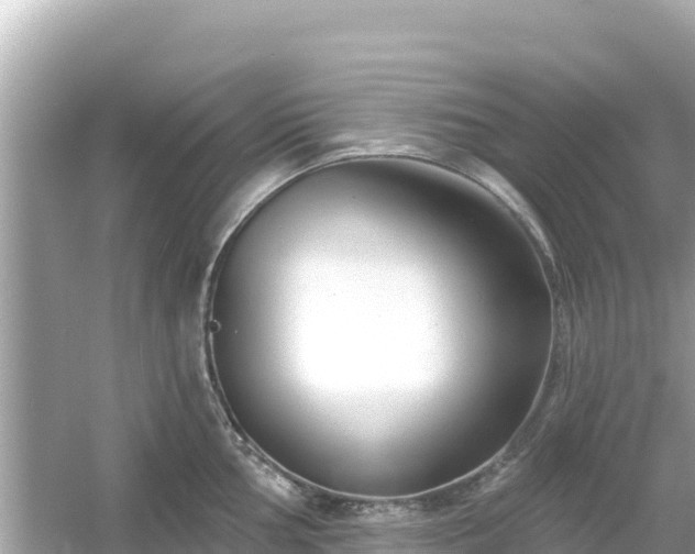 X0000054441002200508051854