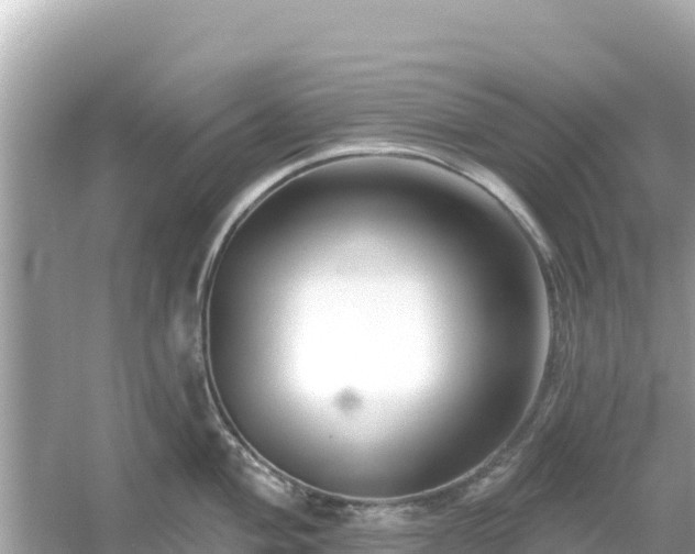 X0000054441004200508051854