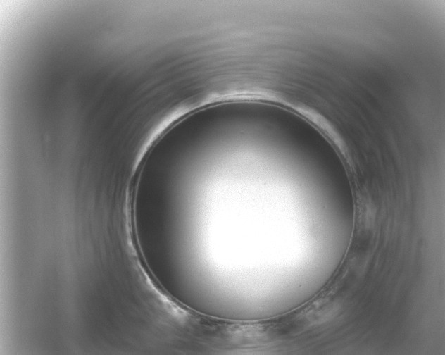 X0000054441006200508051854