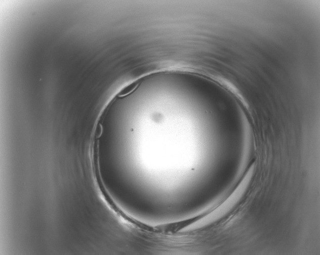 X0000054441007200508051854