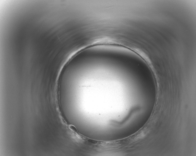 X0000054441008200508051854