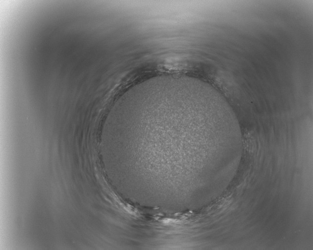 X0000054441009200508051853