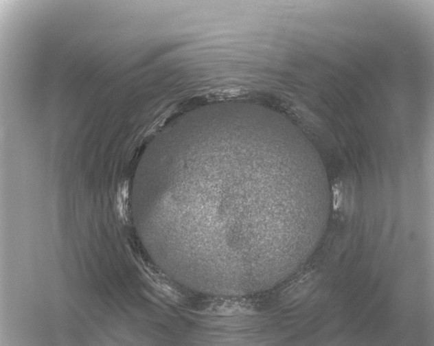 X0000054441011200508051853