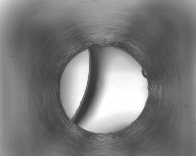 X0000054441012200508051853