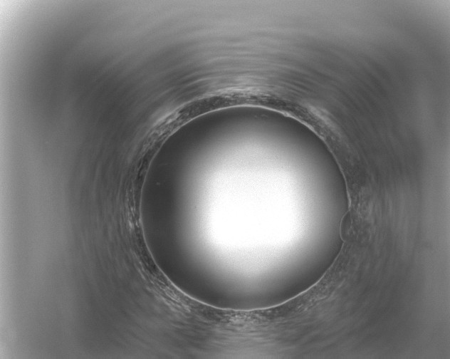 X0000054441015200508051853