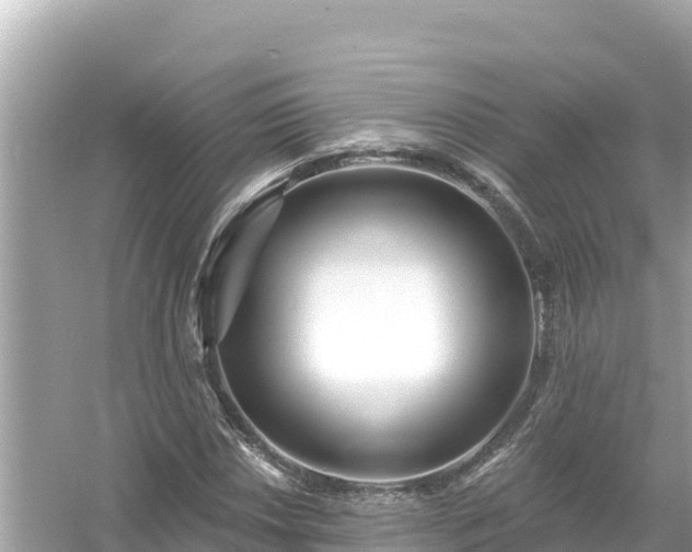 X0000054441018200508051853