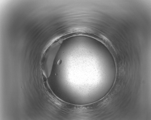 X0000054441019200508051853