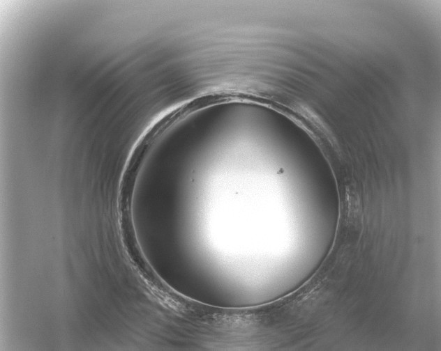 X0000054441020200508051853