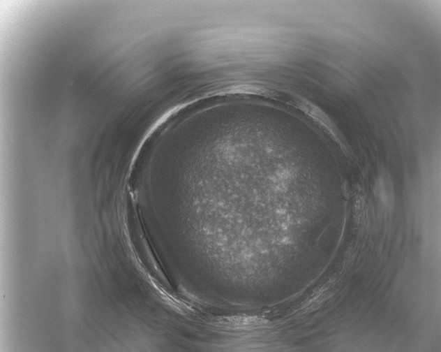 X0000054441024200508051853