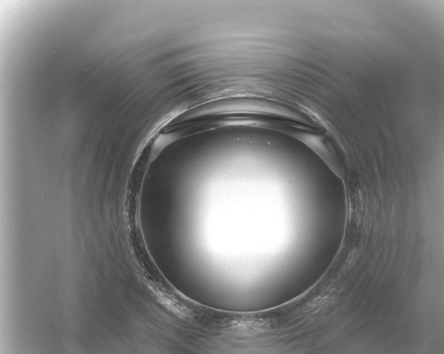 X0000054441026200508051853