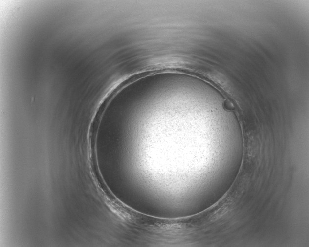 X0000054441031200508051853