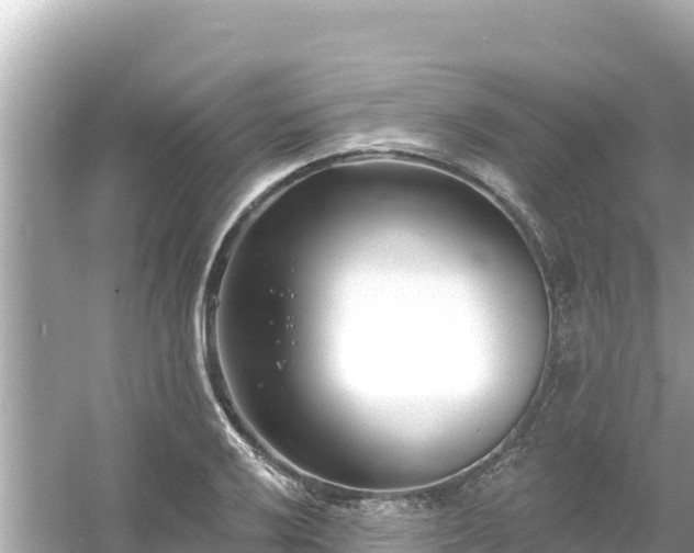 X0000054441032200508051853