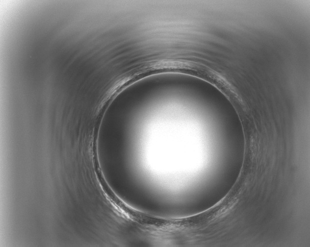 X0000054441033200508051853