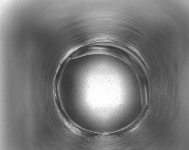 X0000054441034200508051853