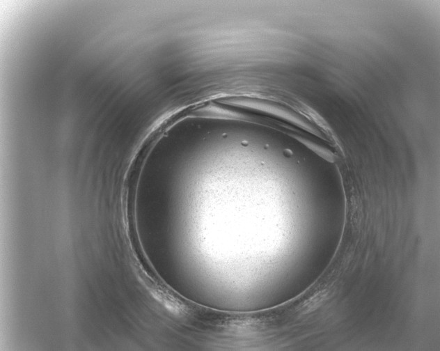 X0000054441035200508051853